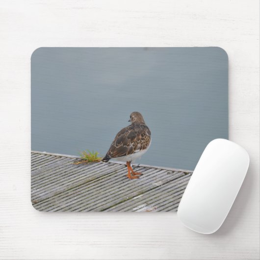 Turnstone Mousepad (Mit Mouse)