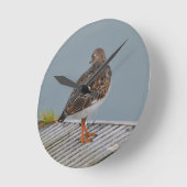 Turnstone Runde Wanduhr (Winkel)
