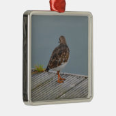 Turnstone Silbernes Ornament (Rechts)