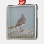 Turnstone Silbernes Ornament (Links)