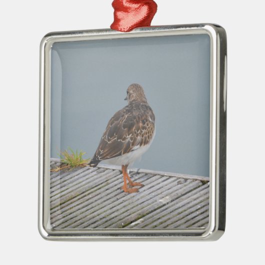 Turnstone Silbernes Ornament (Links)