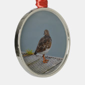 Turnstone Silbernes Ornament (Rechts)