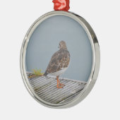 Turnstone Silbernes Ornament (Links)