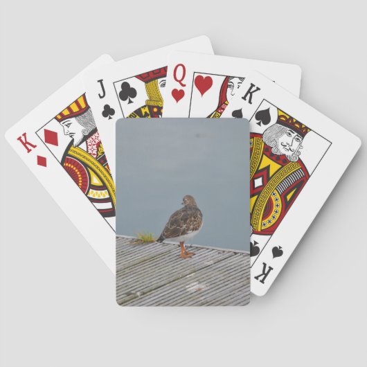 Turnstone Spielkarten (Rückseite)