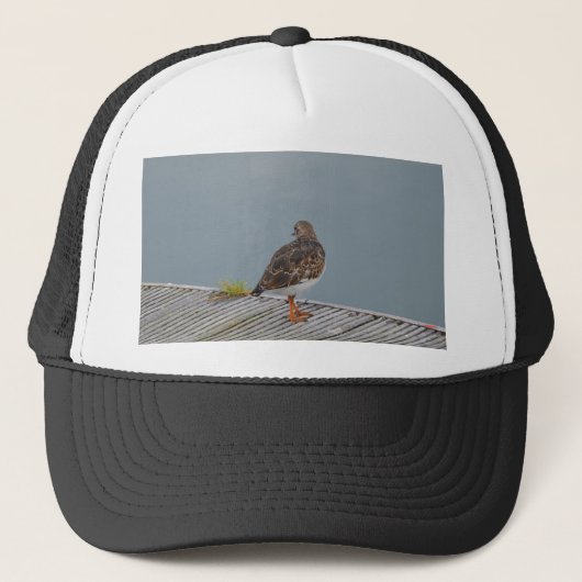 Turnstone Truckerkappe (Vorderseite)