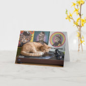Turntable Tabby Faltkarte Karte (Gelbe Blume)