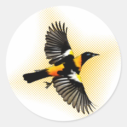 Turpial Runder Aufkleber (Vorderseite)