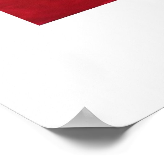 Turquoise Bowl Poster (Ecke)