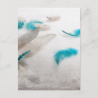 Turquoise Fluff Postkarte