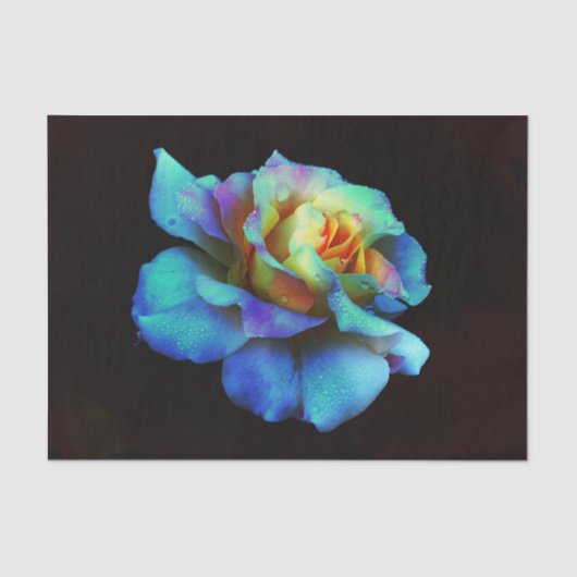 Turquoise N Gold Rainbow Rose Seidenpapier (Vorderseite)