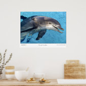 Tursiops Truncatus Poster (Küche)