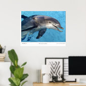 Tursiops Truncatus Poster (Heimbüro)