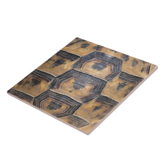 Turteles Muschel Fliese (Seite)