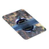 Turtelreflektionsmagnet ( flexibel) magnet (Rechte Seite)