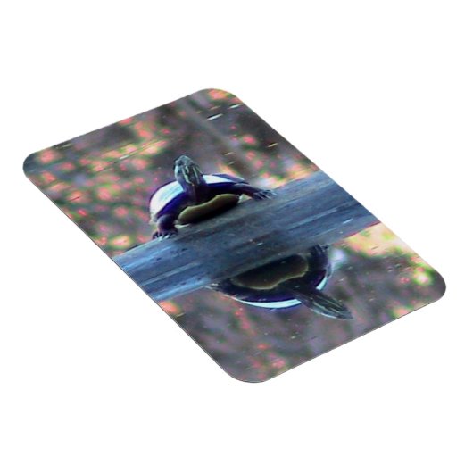 Turtelreflektionsmagnet ( flexibel) magnet (Rechte Seite)