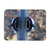 Turtelreflektionsmagnet ( flexibel) magnet (Horizontal)