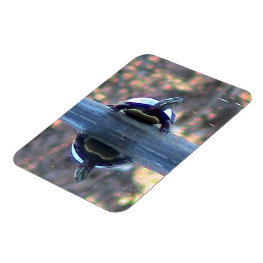 Turtelreflektionsmagnet ( flexibel) magnet (Linke Seite)