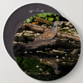 Turteltaube Button (Vorne & Hinten)