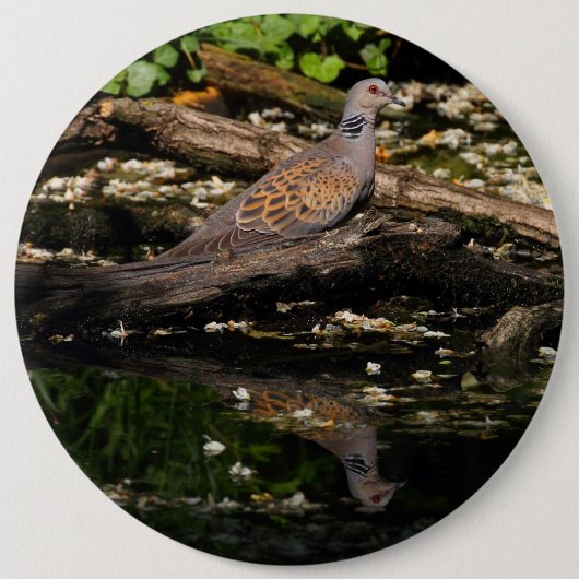 Turteltaube Button (Vorderseite)