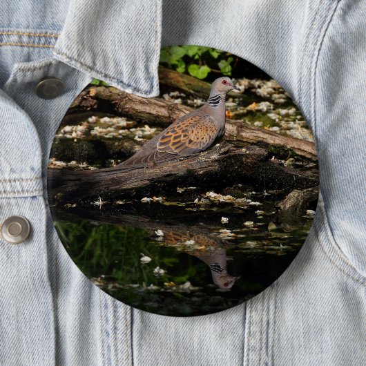 Turteltaube Button (Beispiel)