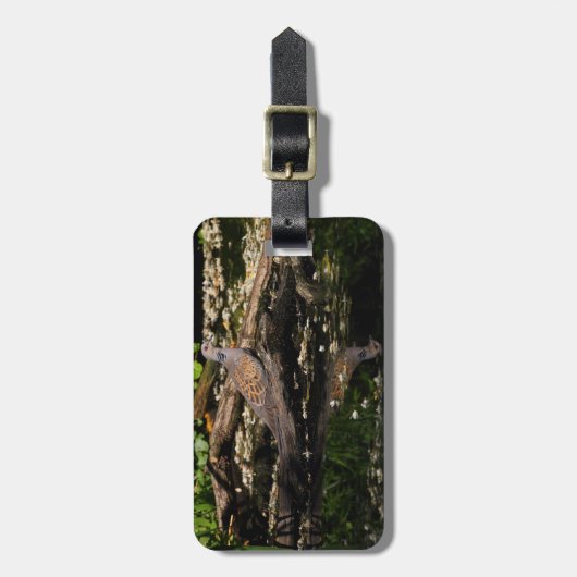 Turteltaube Gepäckanhänger (Vorderseite vertikal)