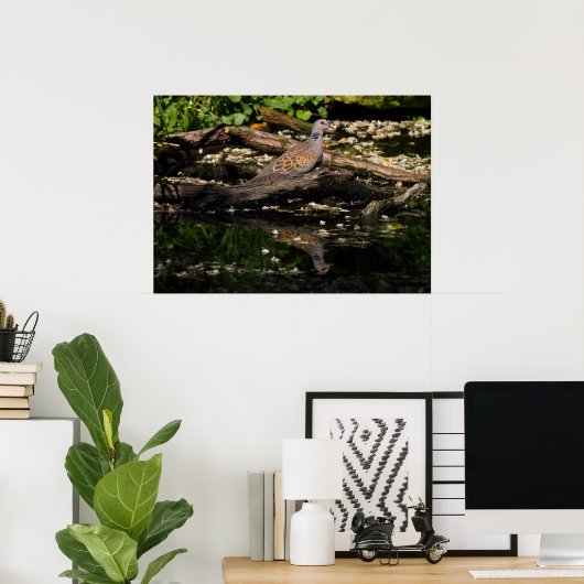 Turteltaube Poster (Heimbüro)