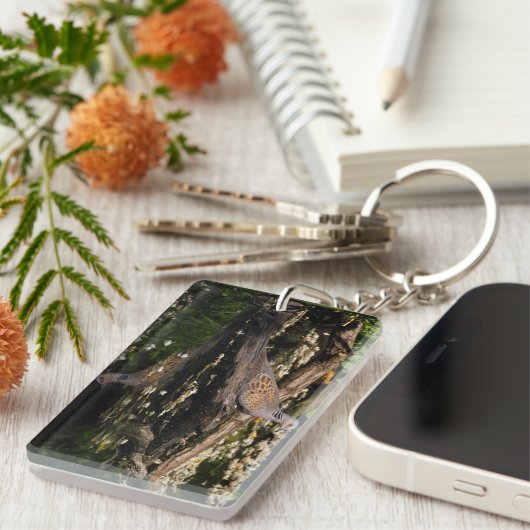 Turteltaube Schlüsselanhänger (Vorderseite rechts)