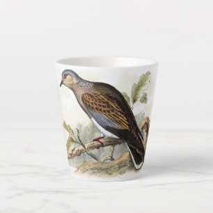 Turteltaube Streptopelia Malerei Natur Vögel Kunst Milchtasse