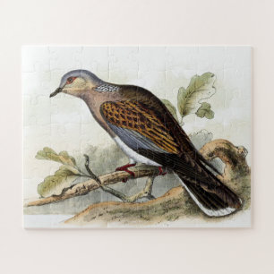 Turteltaube Streptopelia Malerei Natur Vögel Kunst Puzzle