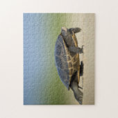 Turtle / Amphibien / Reptile Closeup Foto Puzzle (Vertikal)