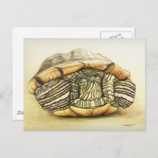 "Turtle" Art Reproduction Postcard Postkarte (Vorne/Hinten)