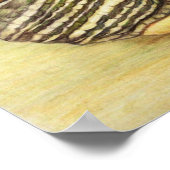 "Turtle" Art Reproduction Print Poster (Ecke)