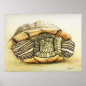 "Turtle" Art Reproduction Print Poster (Vorne)