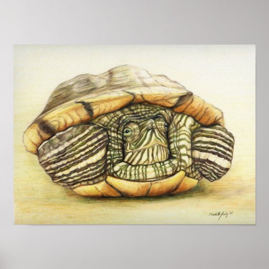 "Turtle" Art Reproduction Print Poster (Vorne)