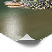 Turtle auf dem LaChute River Fotodruck (Ecke)