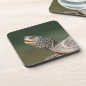 Turtle auf dem LaChute River Getränkeuntersetzer (Linke Seite)