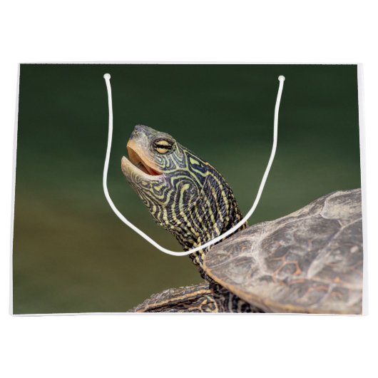 Turtle auf dem LaChute River Große Geschenktüte (Vorderseite)