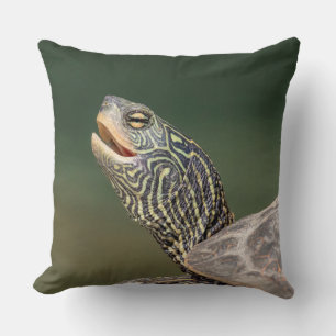 Turtle auf dem LaChute River Kissen