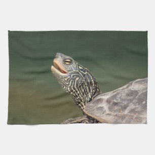 Turtle auf dem LaChute River Küchentuch