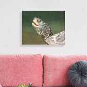 Turtle auf dem LaChute River Leinwanddruck (Insitu (Wohnzimmer))