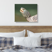 Turtle auf dem LaChute River Leinwanddruck (Insitu (Schlafzimmer))