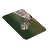 Turtle auf dem LaChute River Magnet (Rechte Seite)