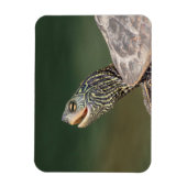 Turtle auf dem LaChute River Magnet (Vertikal)