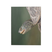 Turtle auf dem LaChute River Notizblock (Rotiert)