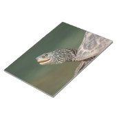 Turtle auf dem LaChute River Notizblock (angewinkelt)