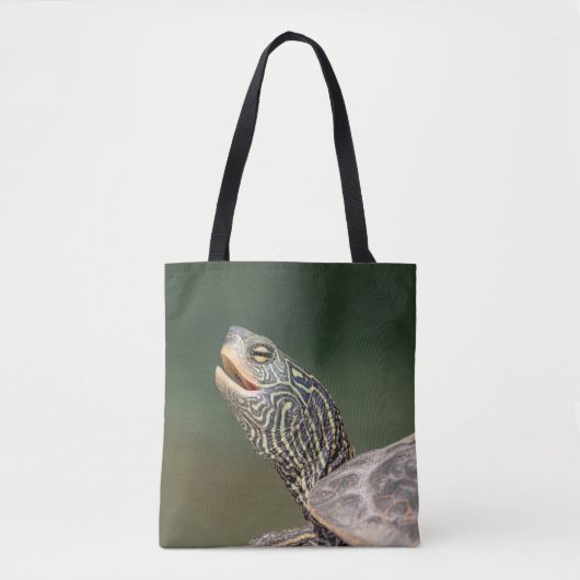 Turtle auf dem LaChute River Tasche (Vorderseite)