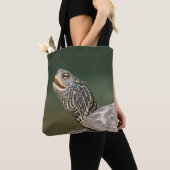 Turtle auf dem LaChute River Tasche (Von Nahem)