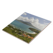 Turtle Beach, Südosthalbinsel, St. Kitts, Fliese (Seite)