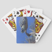 Turtle Bicycle Poker Deck Spielkarten (Rückseite)