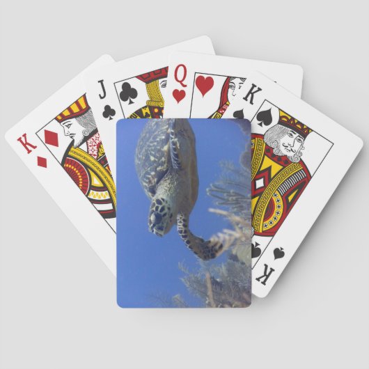 Turtle Bicycle Poker Deck Spielkarten (Rückseite)